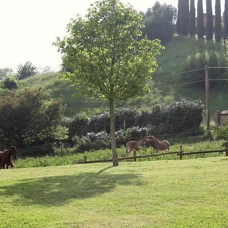 Agrimar 2 * Rignano Flaminio